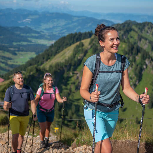 Wandergruppe auf dem Weg zum Gipfel des Hochgrats