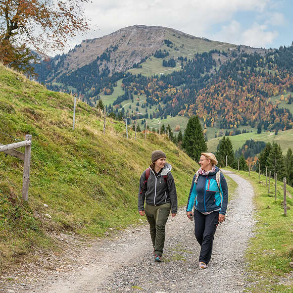 Wandern am Imberg mit Ausblick auf den Hochgrat im Herbst.