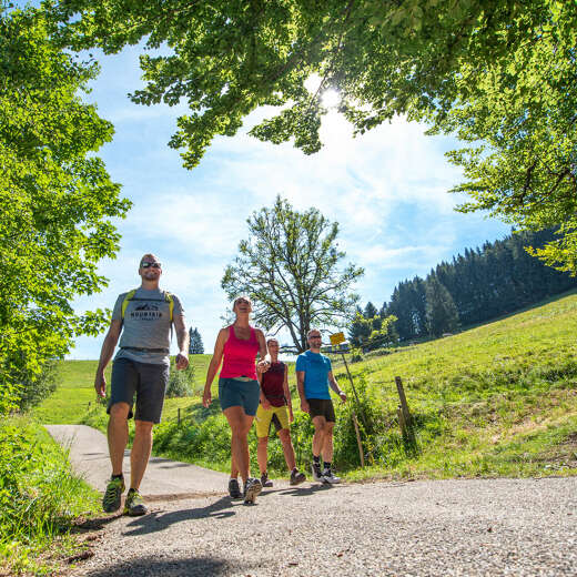 Wandergruppe auf den Wegen um Oberstaufen im Sommer