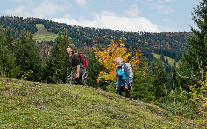 Wandern in der herbstlichen Natur um Oberstaufen