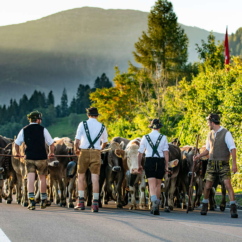 Der Almabtrieb im Allgäu ist ein Highlight. Der Viehscheid in Oberstaufen wird gefeiert.