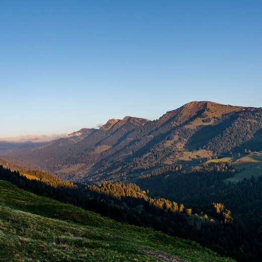 Bergwiese und Panorama der Nagelfluhkette in der Herbstsonne