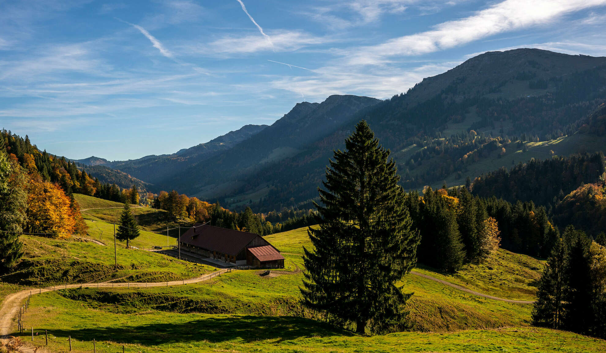 Wanderweg am Imberg zur Alpe Remmelegg im Herbst mit Panorama der Nagelfluhkette