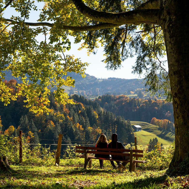 Pause auf einer Bank im Rainwald bei Oberstaufen mit Aussicht auf die bunt gefärbten Wälder und Berge.