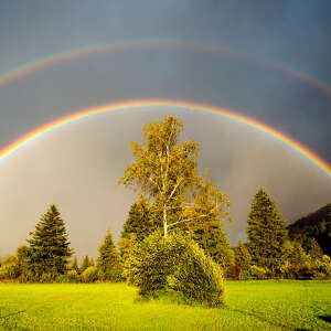 Regenbogen im Herbst