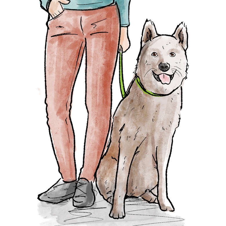 Zeichnung von einem Hund an der Leine neben seinem Halter