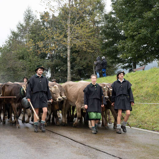 Hirtenzug beim Staufner Viehscheid