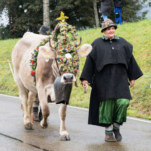 Kranzrind beim Staufner Viehscheid