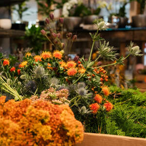 Herbstblumen im Blumenladen Stehle