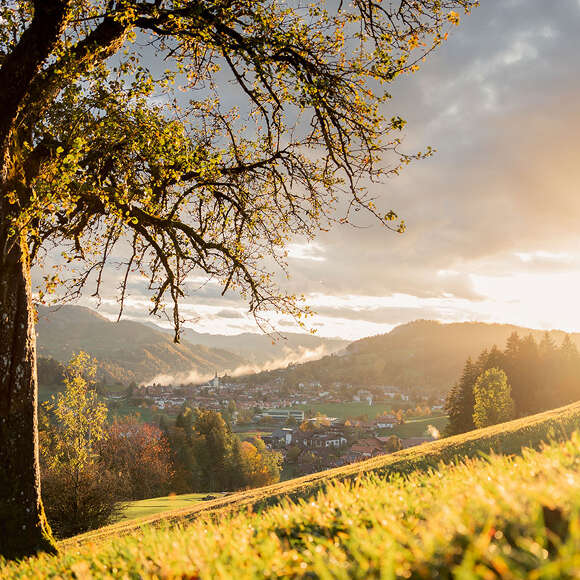 Sonnenuntergang im Spätsommer mit Ausblick auf Oberstaufen