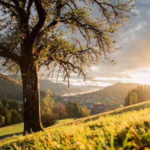 Sonnenuntergang im Spätsommer mit Ausblick auf Oberstaufen