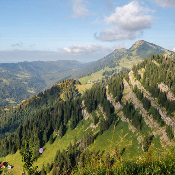 Ausblick vom Falken über die Nagelfluhkette, das Ehrenschwanger Tal und den Prodelzug im Sommer