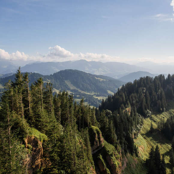 Bergpanorama der Nagelfluhkette und Allgäuer Alpen