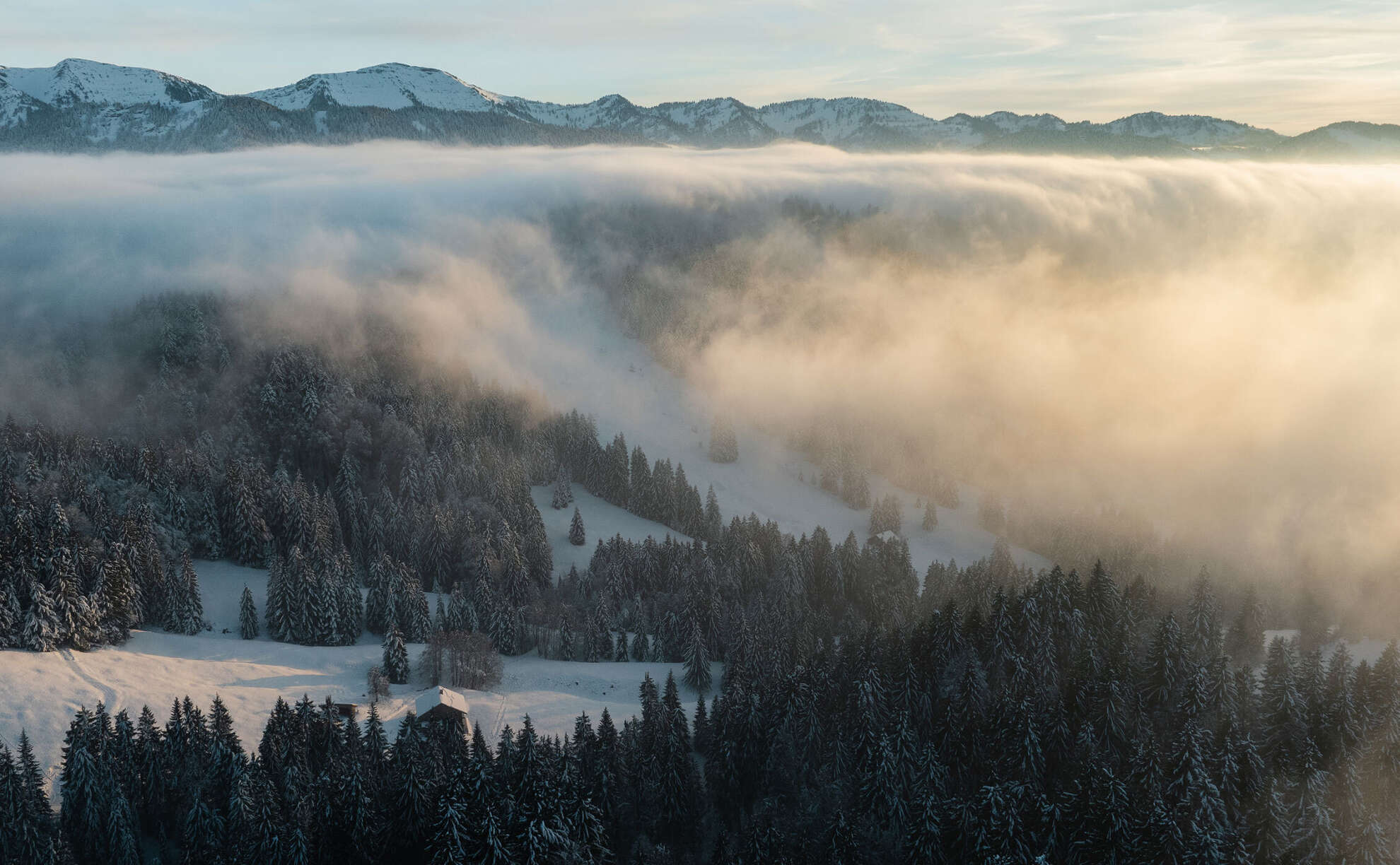 Mystische Nebelstimmung in den verschneiten Bergen und Wäldern von Oberstaufen