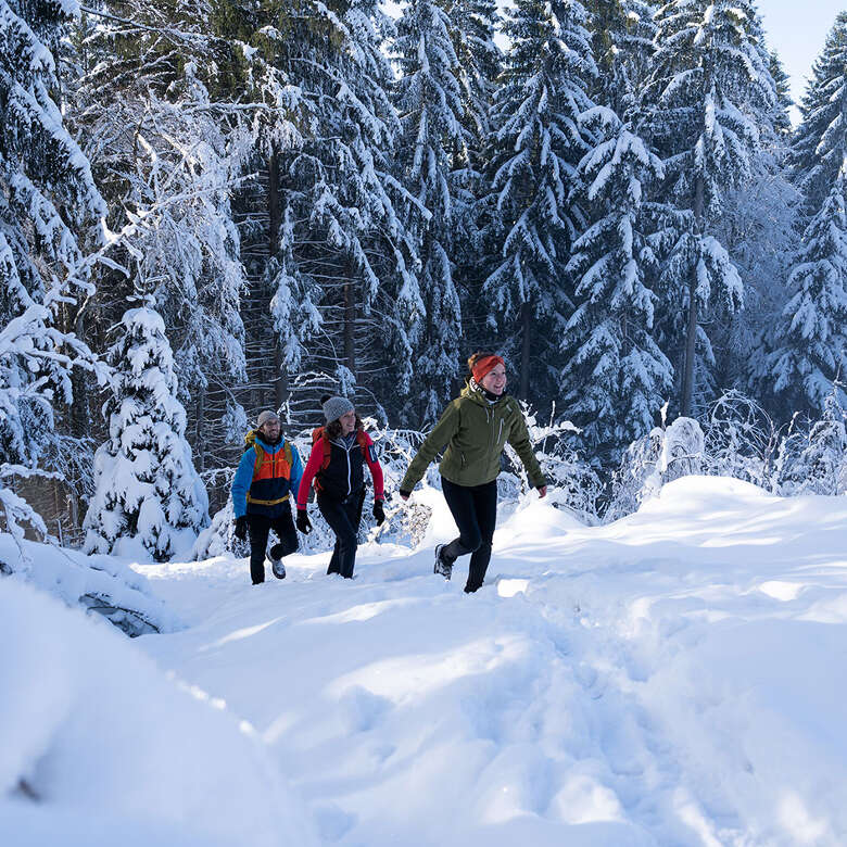 Winterwandern imverschneiten Wald um Oberstaufen