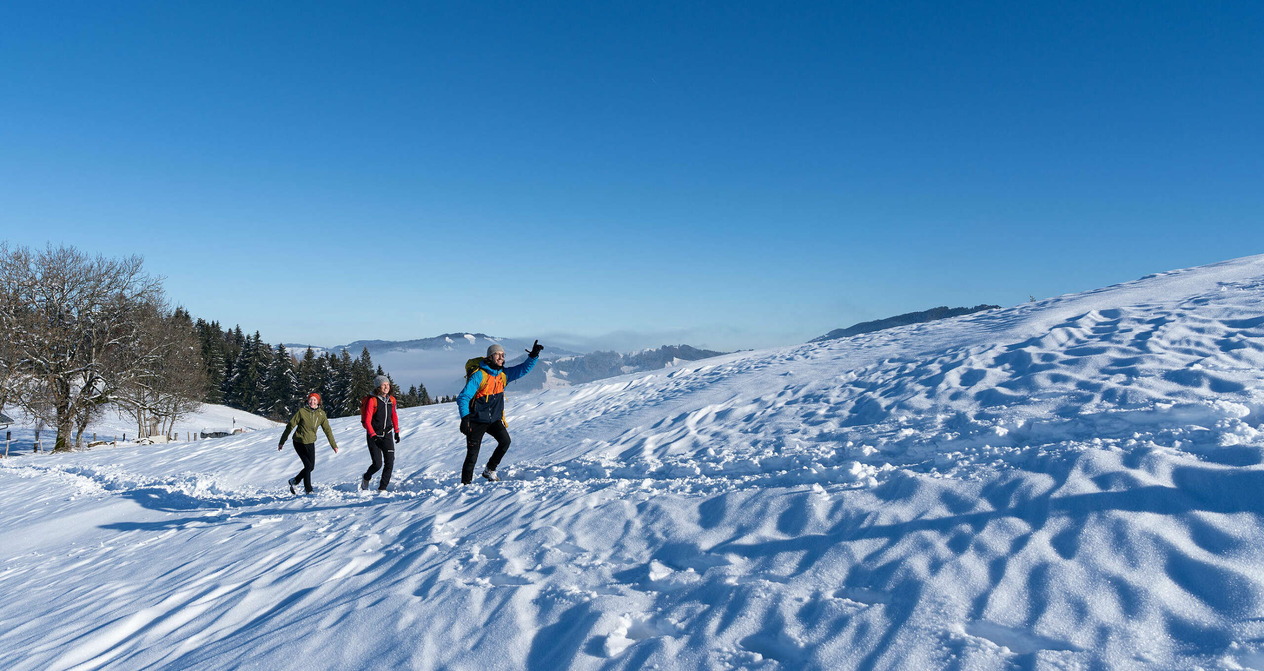 Wandergruppe mit Wanderführer in Oberstaufen