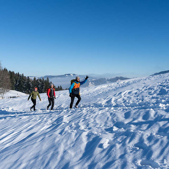 Wanderungen mit Wanderführer im Winter