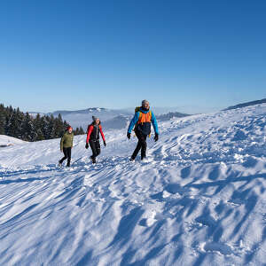 Winterwandern in verschneiter Natur mit Weitblick über die Berge um Oberstaufen