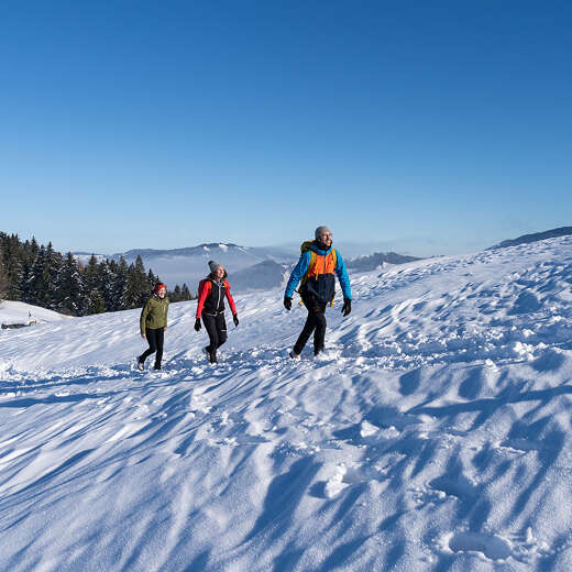 Winterwandern mit Weitblick an einem sonnigen Tag im Schnee in Oberstaufen