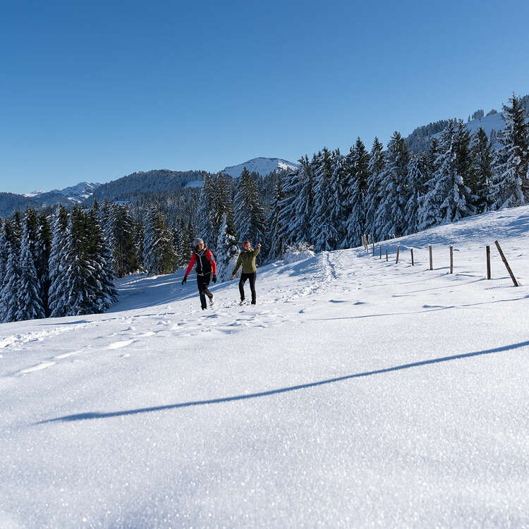 Winterwandern in Steibis mit Blick auf den Hochgrat.