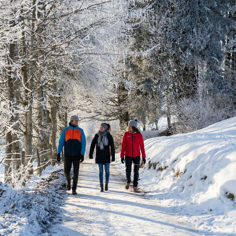 Mit dem Wanderführer in der Natur und den Bergen von Oberstaufen im Allgäu unterwegs.