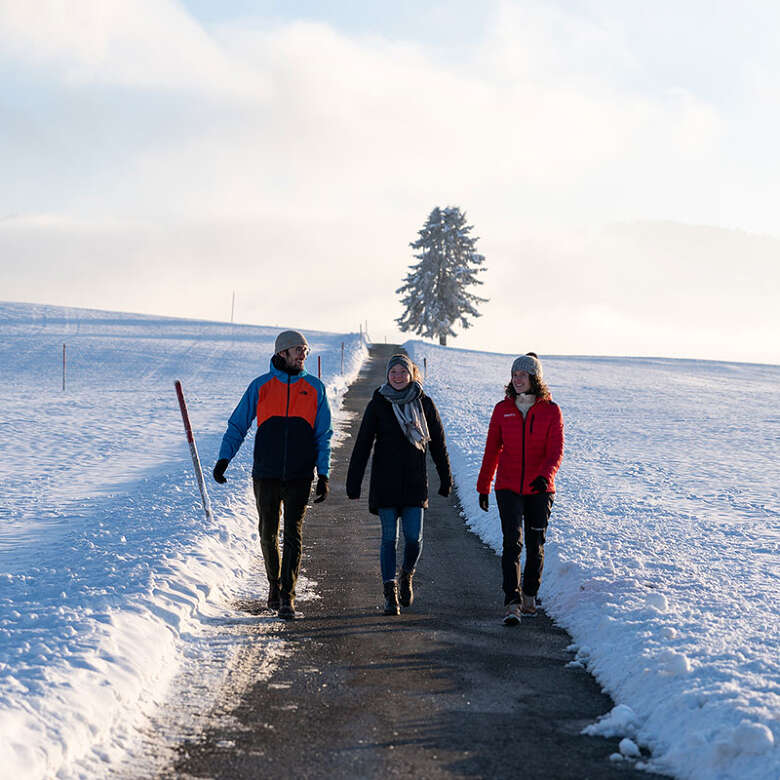 Wandergruppe im Winter auf dem Wanderweg von Oberstaufen nach Buflings.