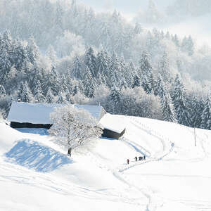 Winterwandern am Hochgrat