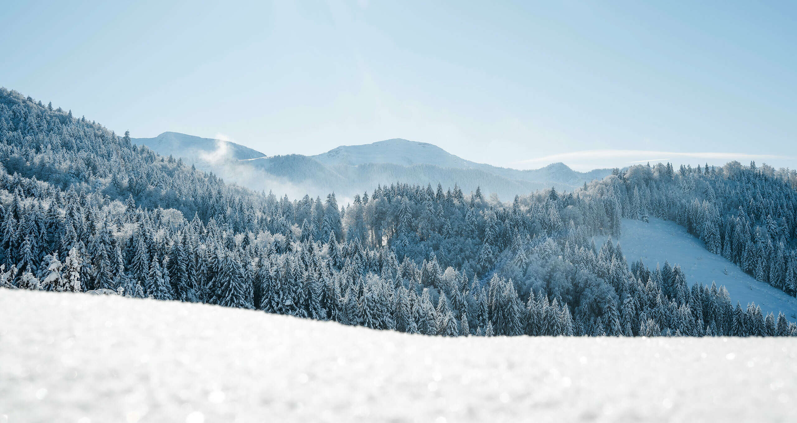 Der Naturpark Nagelfluhkette ist in eine weiße Decke aus Schnee gehüllt