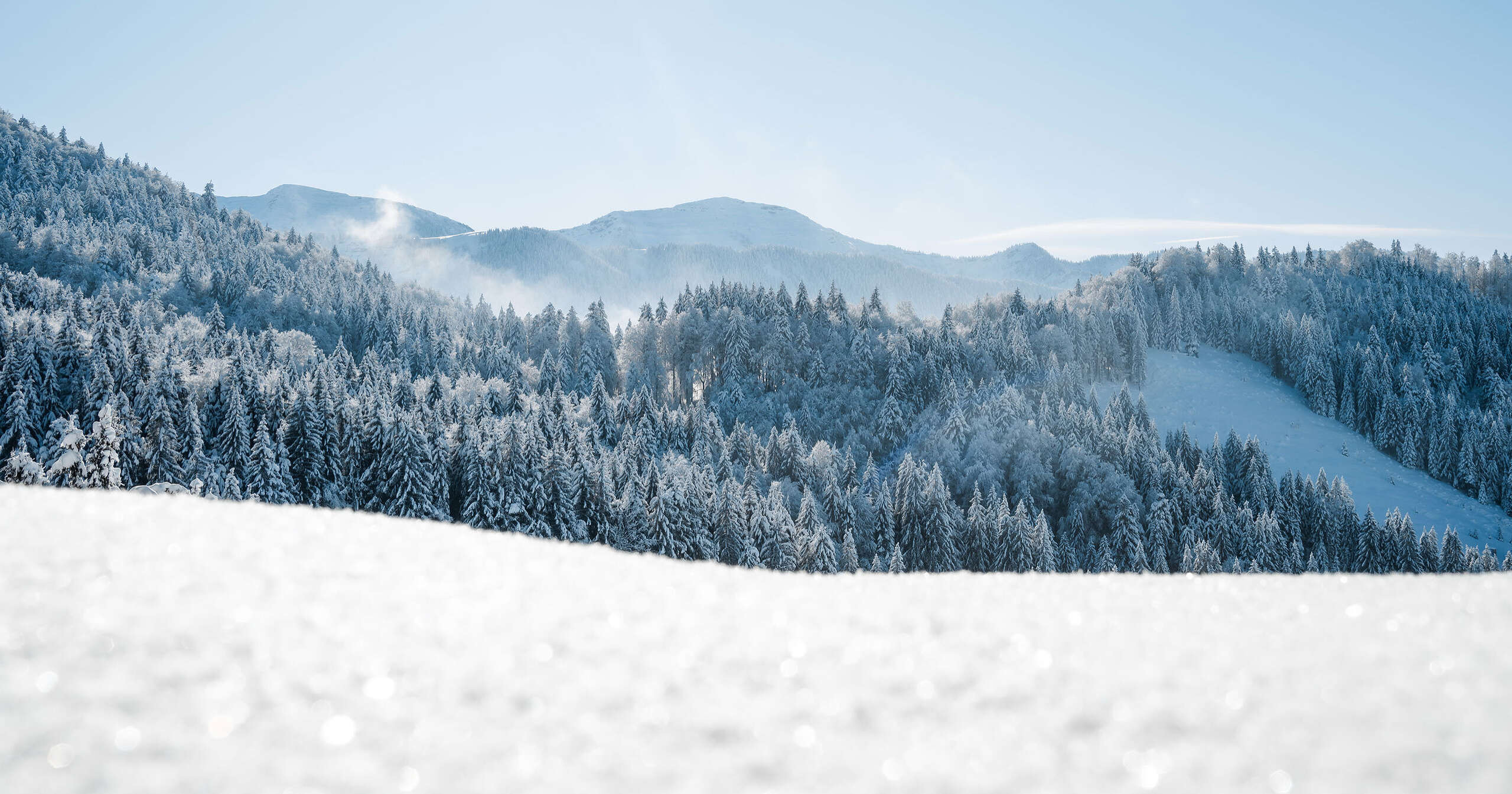 Panoramablick auf den verschneiten Hochgrat und die weiße Landschaft um Oberstaufen