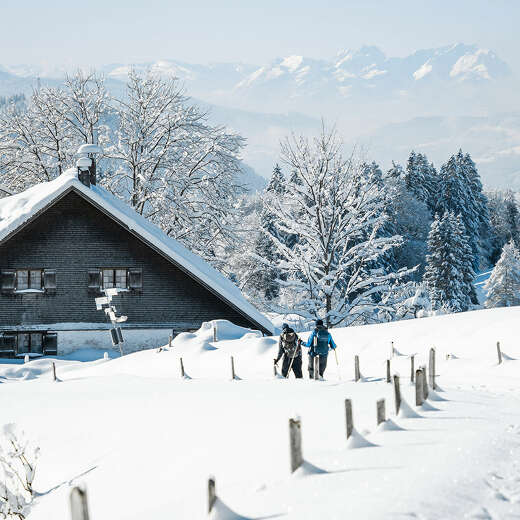 Schneeschuhwandern in der Natur von Oberstaufen mit Blick auf den Säntis.