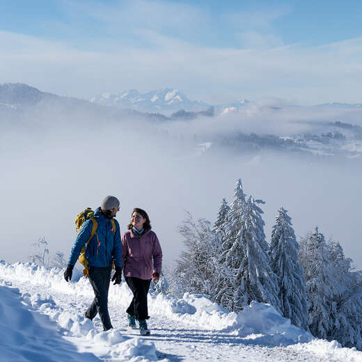 Winterwandern durch die verschneite Landschaft von Oberstaufen mit Ausblick auf die Schweizer Alpen