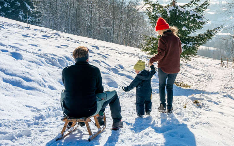 Familie rodelt am Staufen mit Ausblick auf die umliegenden verschneiten Berge