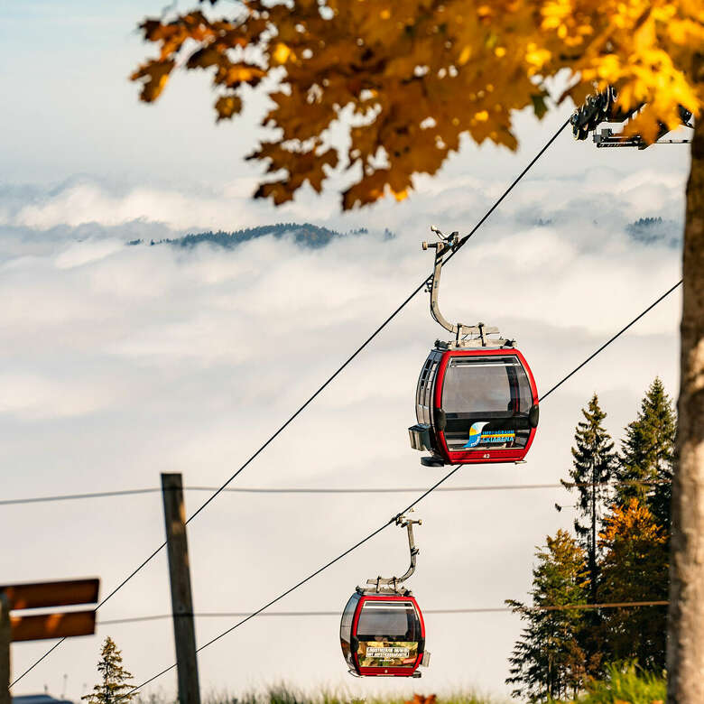 Obheiter an der Imbergbahn im Allgäuer Herbst