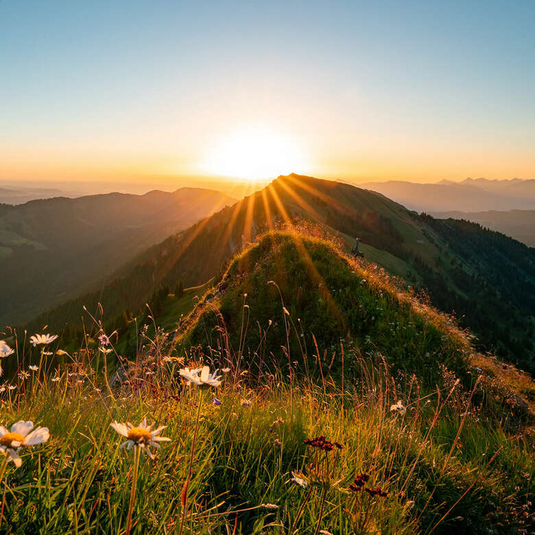 Sonnenaufgang auf der Nagelfluhkette im Sommer.