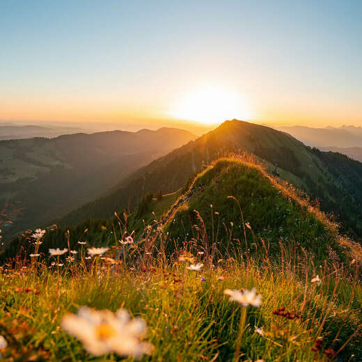 Sonnenaufgang auf der Nagelfluhkette bei Oberstaufen