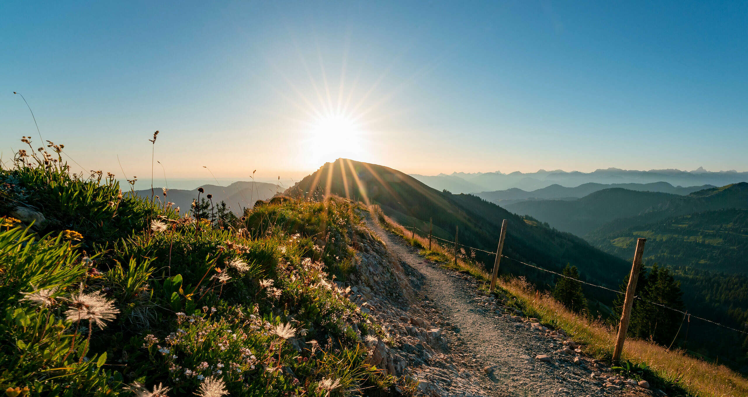 Sonnenuntergang an der Nagelfluhkette im Allgäuer Sommer