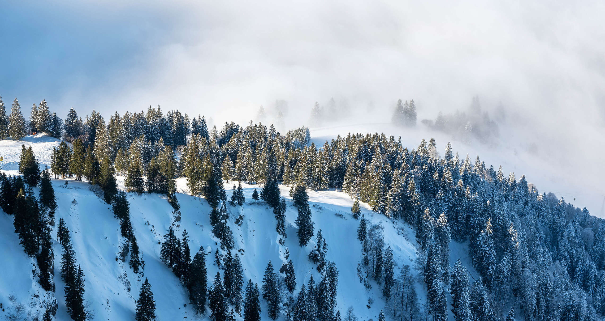 VerschneiterWald in den Bergen von Oberstaufen