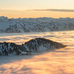 Verschneite Gipfel der Allgäuer Alpen bei Sonnenuntergang über dem Wolkenmeer.