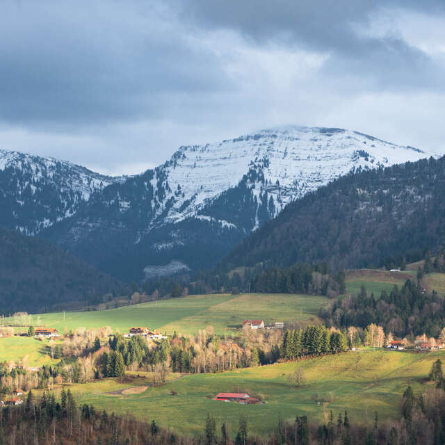 Grüne Wiesen um Steibis mit dem verschneiten Bergpanorama der Nagelfluhkette im Frühling