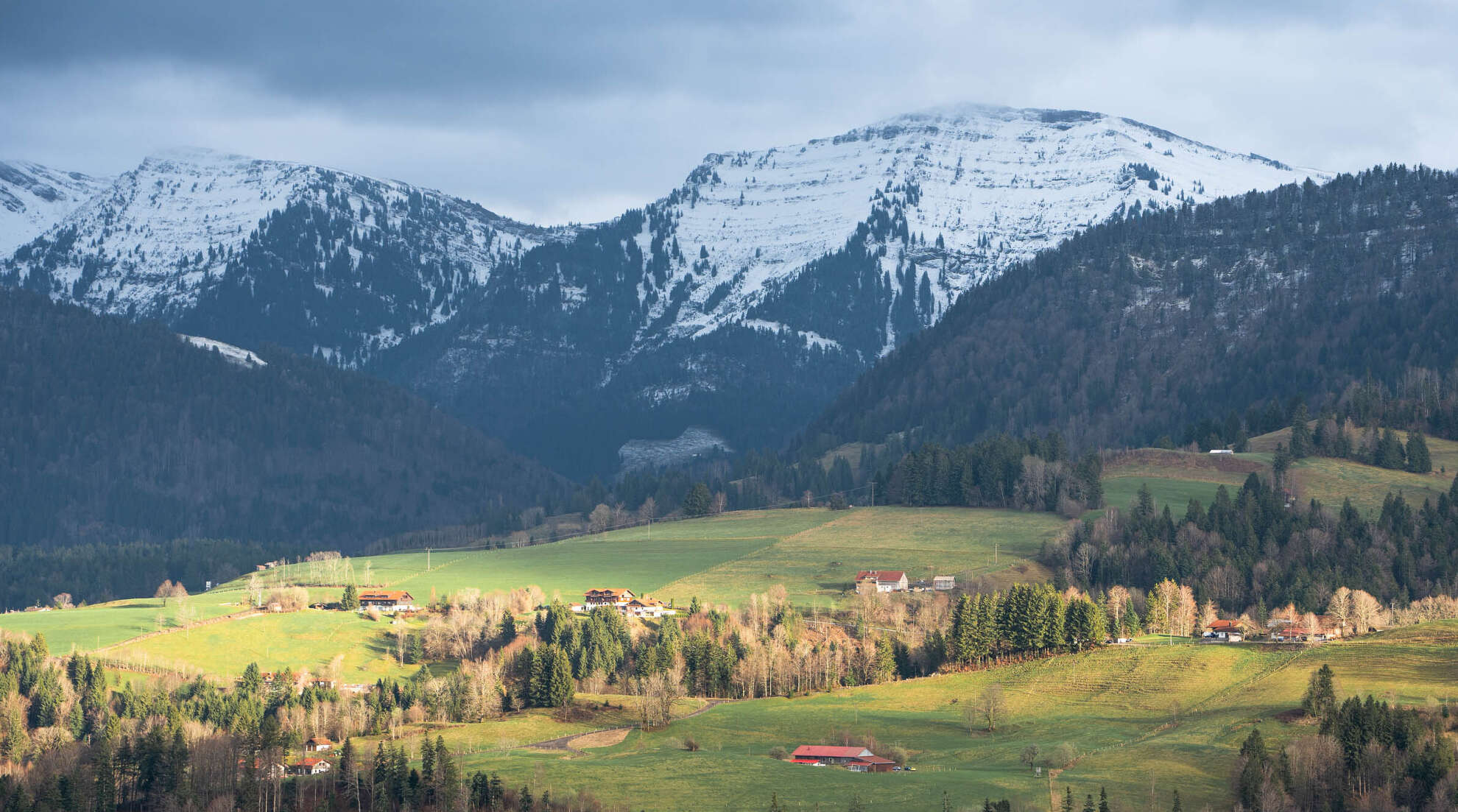 Grüne Wiesen um Steibis mit dem verschneiten Bergpanorama der Nagelfluhkette im Frühling