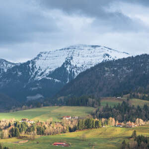 Grüne Wiesen um Steibis mit dem verschneiten Bergpanorama der Nagelfluhkette im Frühling