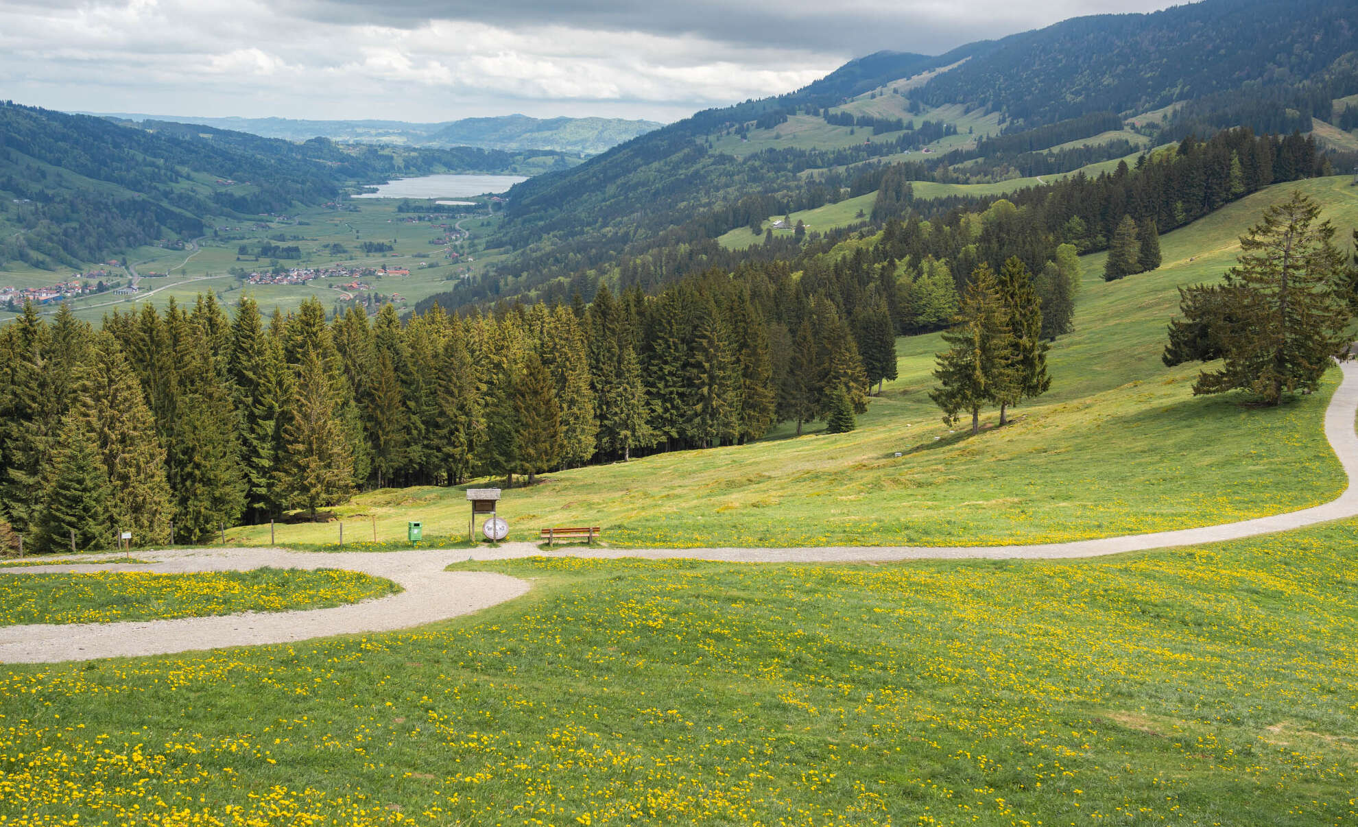 Wanderwege am Hündle zur Löwenzahnblüte mit Panorama von Thalkirchdorf bis zum Großen Alpsee