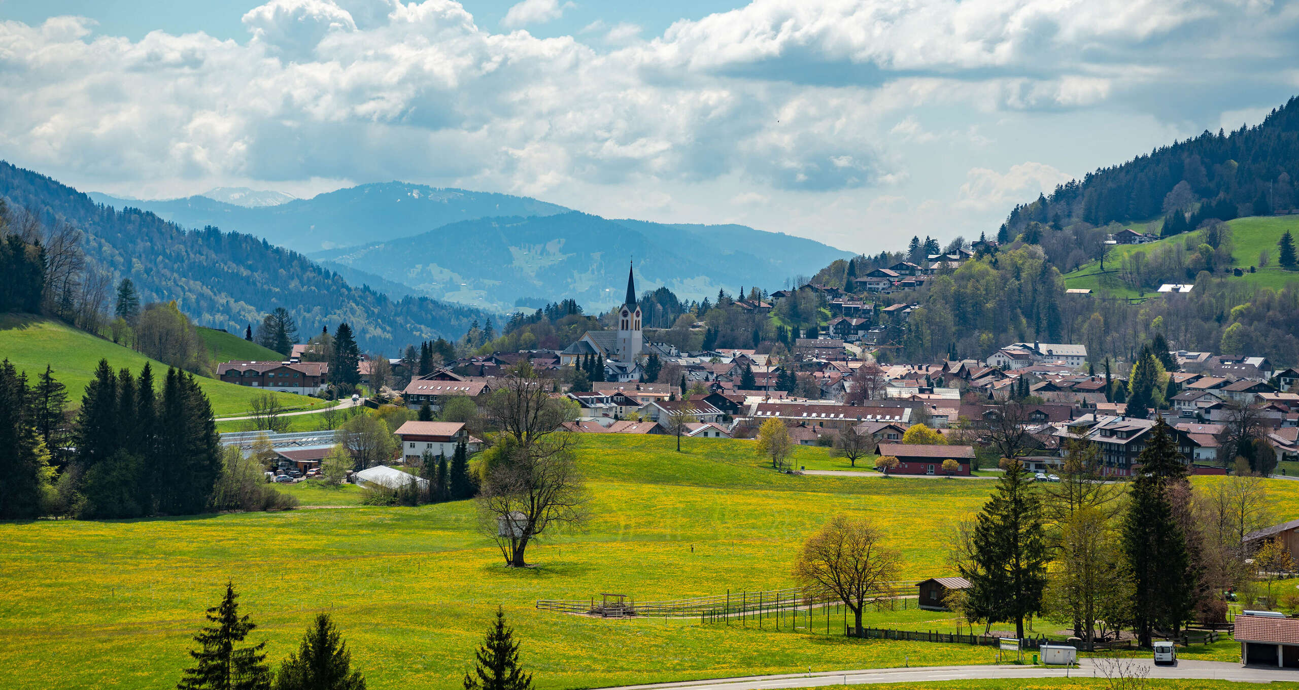 Blick auf Oberstaufen und die blühenden Löwenzahnwiesen im Frühling