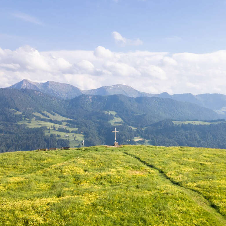 Blühende Wiesen auf der Salmaser Höhe mit Bergpanorama