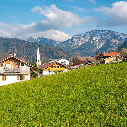 Steibis Ort mit Hochgrat im Frühling