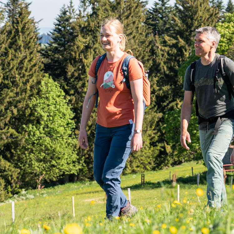 Wanderführerin Luise unterwegs mit einer Gruppe am Dreiländerblick