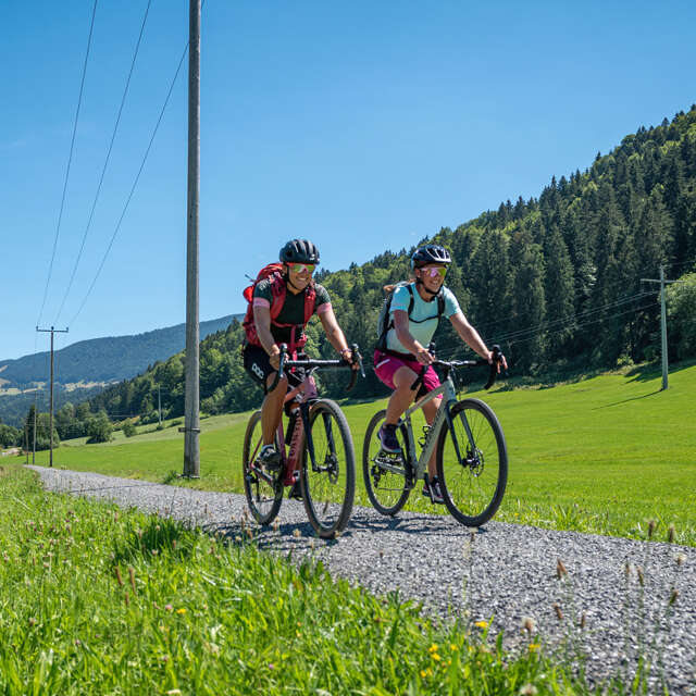 Gravel-Fahrt auf dem Weg zum Hündle bei Oberstaufen in grüner Natur.