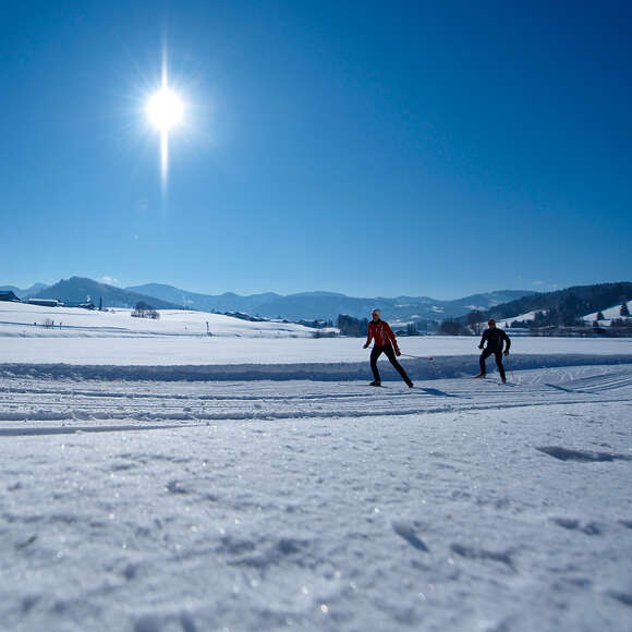 Langlaufen auf der Moosloipe mit dem Bergpanorama der Nagelfluhkette an einem sonnigen Wintertag.