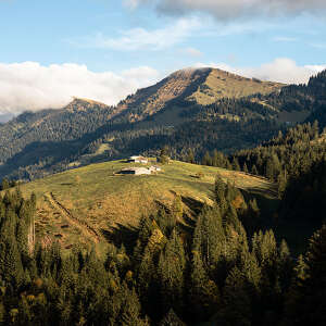 Blick auf das Berggebiet Hochgrat und die Nagelfluhkette im Sommer