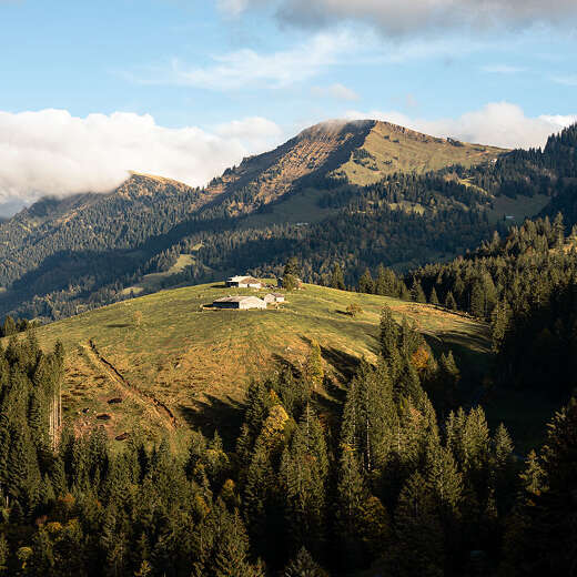 Blick auf das Berggebiet Hochgrat und die Nagelfluhkette im Sommer